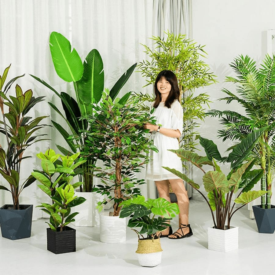 CÂY XANH TRONG NỘI THẤT – YẾU TỐ TỰ NHIÊN NÂNG TẦM KHÔNG GIAN SỐNG